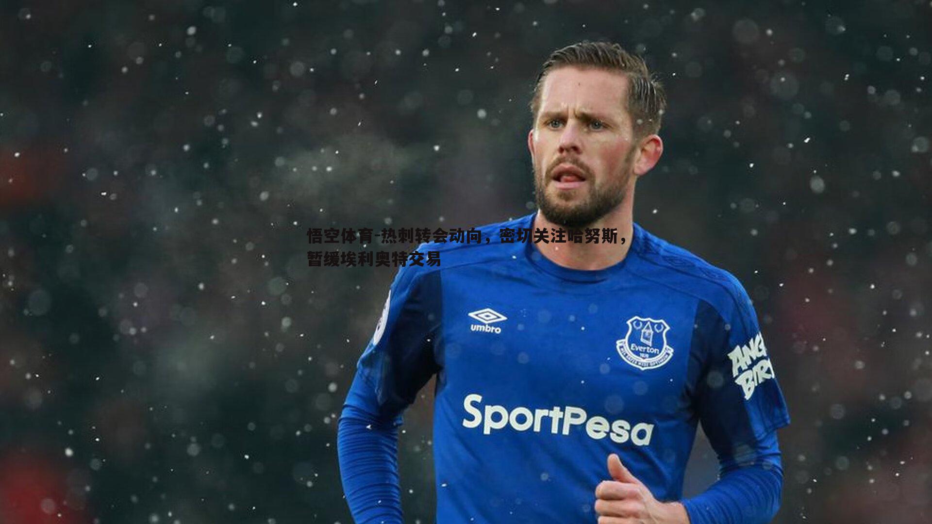 热刺转会动向,密切关注哈努斯,暂缓埃利奥特交易